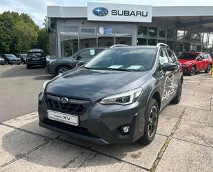 Subaru Subaru XV 1.6i Exclusive Lineartronic 4WD+AZV Gebrauchtwagen