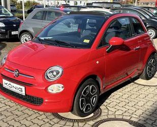 Fiat Fiat 500C Cabrio MY22 1.0 70PS Club Klima PDC Gebrauchtwagen