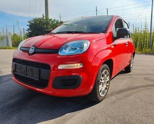 Fiat Fiat Panda Easy 1.2i / KLIMA / +4917623433360 Gebrauchtwagen