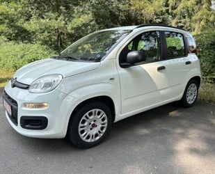 Fiat Fiat Panda 1.2, TÜV Neu, Zahnriemen neu, Bremsen n Gebrauchtwagen