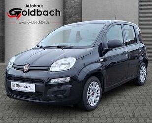 Fiat Fiat Panda Hybrid 1.0 Urban *Klima|Radio|PDC* Gebrauchtwagen