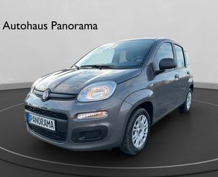 Fiat Fiat Panda Easy City/Komfort Paket/Klima/ 1 . Hand Gebrauchtwagen