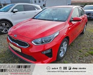 Kia ceed / Ceed Gebrauchtwagen