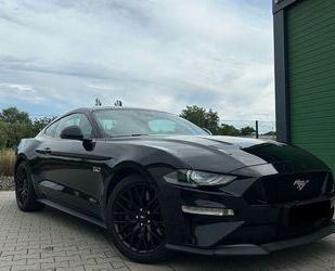 Ford Ford Mustang 5.0 V8 GT Gebrauchtwagen