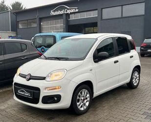 Fiat Fiat Panda 1.2 More/Klima/PDC/AHK/1.Ha/5Tür/ZV/Eu6 Gebrauchtwagen