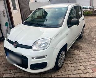 Fiat Fiat New Panda 1.2 8V MYSTYLE MYSTYLE Gebrauchtwagen