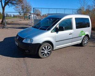 VW Volkswagen Caddy Life 1.9 TDI 77kW Tramper Tramper Gebrauchtwagen