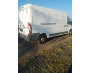 Fiat Fiat Ducato Gebrauchtwagen