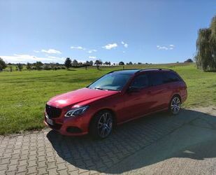 Mercedes-Benz Mercedes-Benz E 220 BE T Edition AVANTG. Auto. Ed Gebrauchtwagen