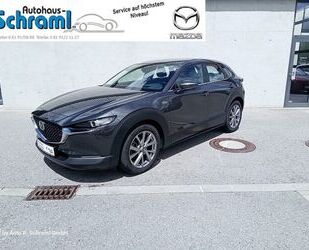 Mazda Mazda CX-30 SKYACTIV-G 2.0 M Hybrid Selection Navi Gebrauchtwagen