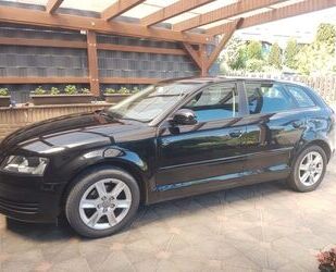 Audi Audi A3 1.6 Ambition Sportback Ambition Gebrauchtwagen