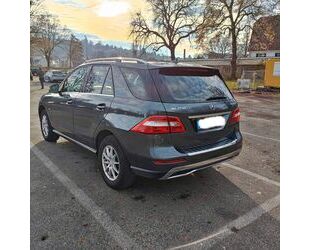 Mercedes-Benz Mercedes-Benz ML 250 4 MATIC CDI BlueTec, Navi Gebrauchtwagen