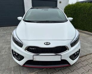 Kia Kia ceed / Ceed 1.6 T-GDI GT-Track 1.Hand Pano Gebrauchtwagen