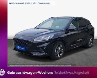 Ford Ford Kuga 2.0 EcoBlue Aut. ST-LINE X *AHK*ACC*TWA* Gebrauchtwagen