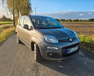 Fiat Fiat Panda Lounge - Klima*DAB*Einparkhilfe*Winterr Gebrauchtwagen