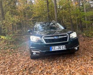 Subaru Subaru Forester 2.0D Edition Huntergreen Edition H Gebrauchtwagen