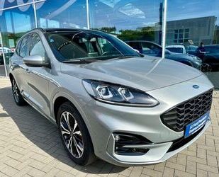 Ford Ford Kuga ST-Line X PHEV, B&O, 19 Zoll, Pano Gebrauchtwagen