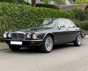 Jaguar Jaguar Daimler Double Six /Classic Data 1-/ 52.900 Gebrauchtwagen