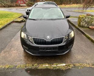 Skoda Skoda Octavia Combi AmbitionLED 8xBereift Gebrauchtwagen