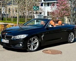 BMW BMW 430d Cabrio Sport Line A Sport Line ACC*nacken Gebrauchtwagen