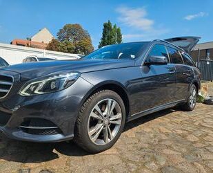 Mercedes-Benz Mercedes-Benz E 250 BlueTEC T ELEGANCE 8xRäder Sta Gebrauchtwagen