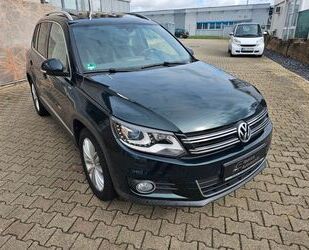 VW Volkswagen Tiguan Life BMT*PANORAMA*XENON*AHK*DYNA Gebrauchtwagen