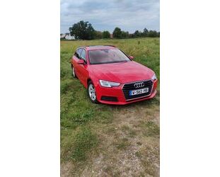 Audi Audi A4 35 TFSI S tronic Avant Panorama Tempomat Gebrauchtwagen