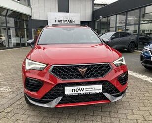 Cupra Cupra Ateca Ateca 2.0 TSI 7-Gang-DSG Pano-Dach Gebrauchtwagen