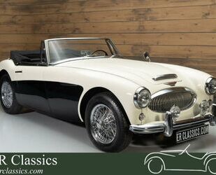 Austin Rover Austin Healey Cabrio Gebrauchtwagen