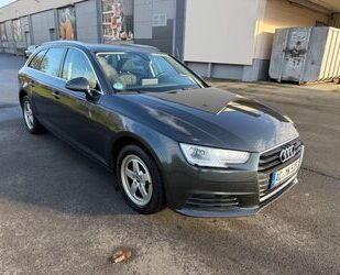 Audi Audi A4 Avant Attract. 2.0 TDI Gebrauchtwagen