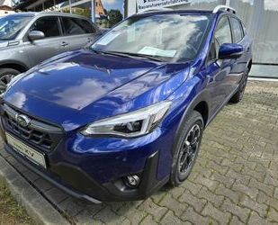 Subaru Subaru XV 1,6i Comfort CVT /RFK/LED/SHZ/Winterräde Gebrauchtwagen