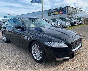 Jaguar Jaguar XF Vollaustatung + Kamer Gebrauchtwagen