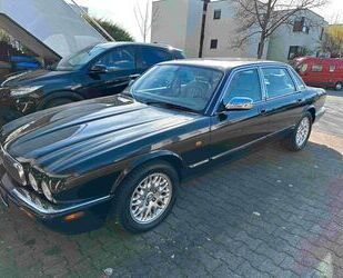 Jaguar Jaguar XJ8 Gebrauchtwagen