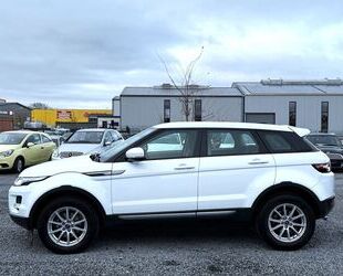 Land Rover Land Rover Range Rover Evoque Pure TOP ZUSTAND Gebrauchtwagen