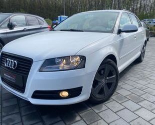 Audi Audi A3 Sportb.1.6 TDI Ambition*1.H*Sitzhzg*Einp.* Gebrauchtwagen