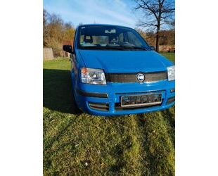 Fiat Fiat Panda Gebrauchtwagen