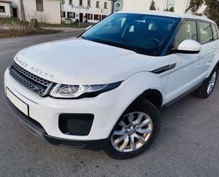 Land Rover Land Rover +Range Rover+Evoque Pure+Klima+PDC+Keyl Gebrauchtwagen