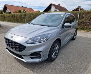 Ford Ford Kuga Hybrid ST-Line Gebrauchtwagen