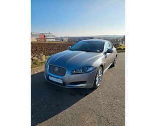 Jaguar Jaguar XF 3.0 L V6 Diesel - Top Zustand - AHK/Car Gebrauchtwagen