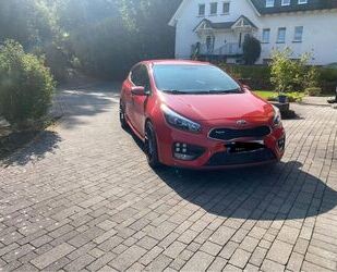 Kia Kia ceed / Ceed 1.6 T-GDI GT-Track GT-Track Gebrauchtwagen