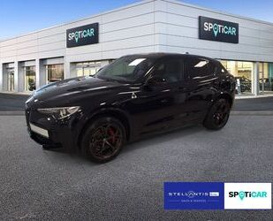 Alfa Romeo Alfa Romeo Stelvio 2.9 V6 Bi-turbo Quadrifoglio Q4 Gebrauchtwagen