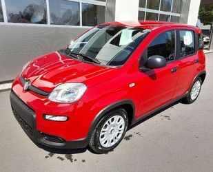 Fiat Fiat Panda 1.0 GSE Hybrid City-Paket Start-Stopp T Gebrauchtwagen