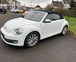 VW Volkswagen Beetle Cabriolet Design BMT Gebrauchtwagen