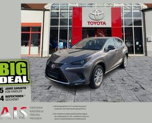 Lexus Lexus NX 300h Executive Line Pano SpurH Leder el.H Gebrauchtwagen