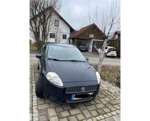 Fiat Fiat Punto 1.2 8V Active Active Gebrauchtwagen