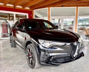 Alfa Romeo Alfa Romeo Stelvio Quadrifoglio Q4 ACC HK Navi Xen Gebrauchtwagen