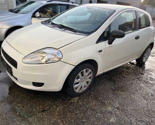 Fiat Fiat Punto 1.2 8V Dynamic Dynamic Gebrauchtwagen