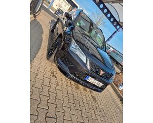 Cupra Cupra Ateca 2.0 TSI 221kW 4Drive DSG - Beats Sound Gebrauchtwagen