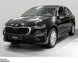 Skoda Skoda Scala Selection 1.0 TSI DSG Assistenzpaket Gebrauchtwagen