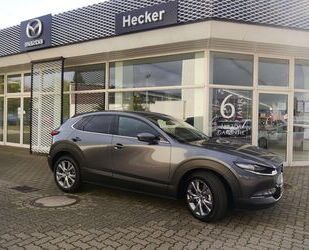 Mazda Mazda CX-30 e-SKYACTIVE G 140 HOMURA 6 JAHRE GARA Gebrauchtwagen